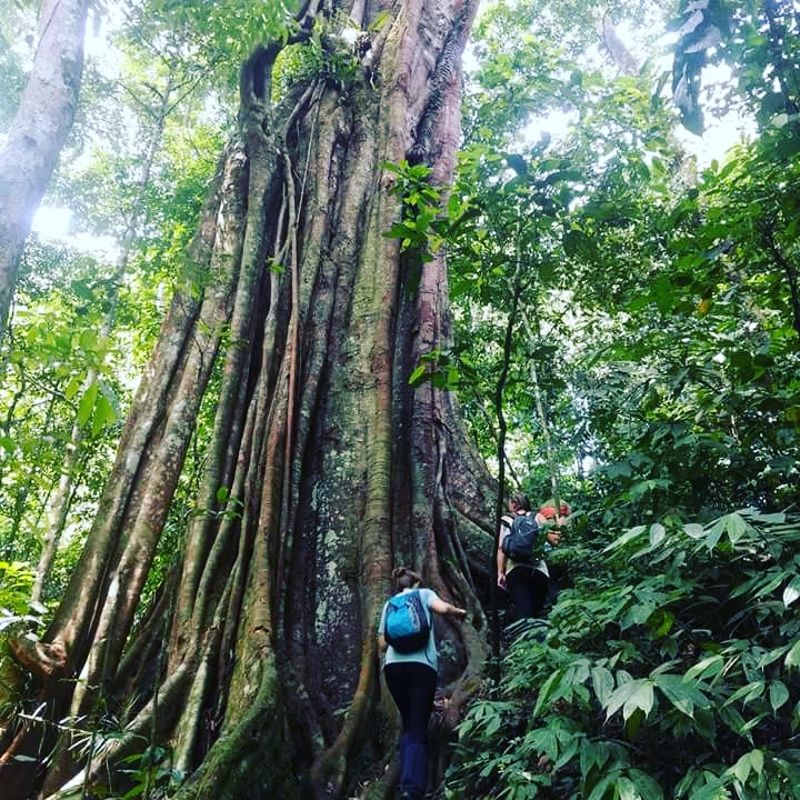 Overland Tour Round Trip Sumatra